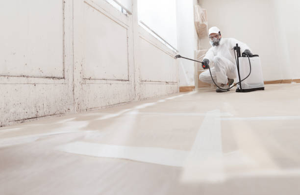 24/7 Emergency Mold Remediation experts in Altavista, VA