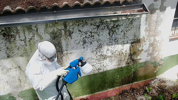 Top rated local Mold Remediation specialists in Altavista, VA